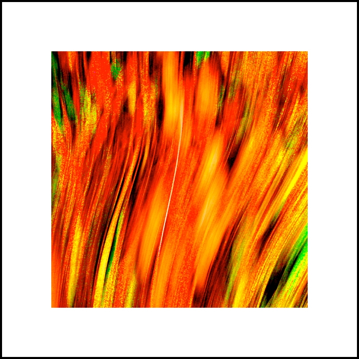 pistil