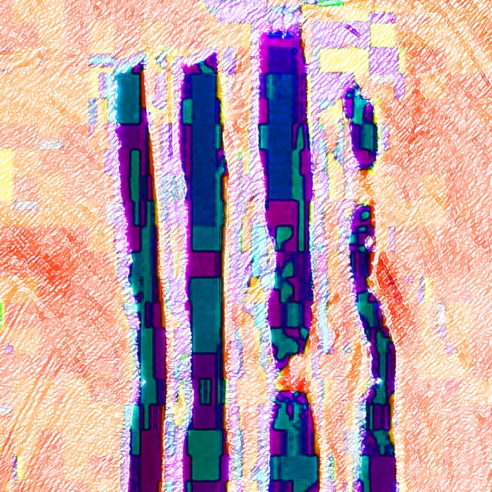rapa