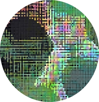 detailclover